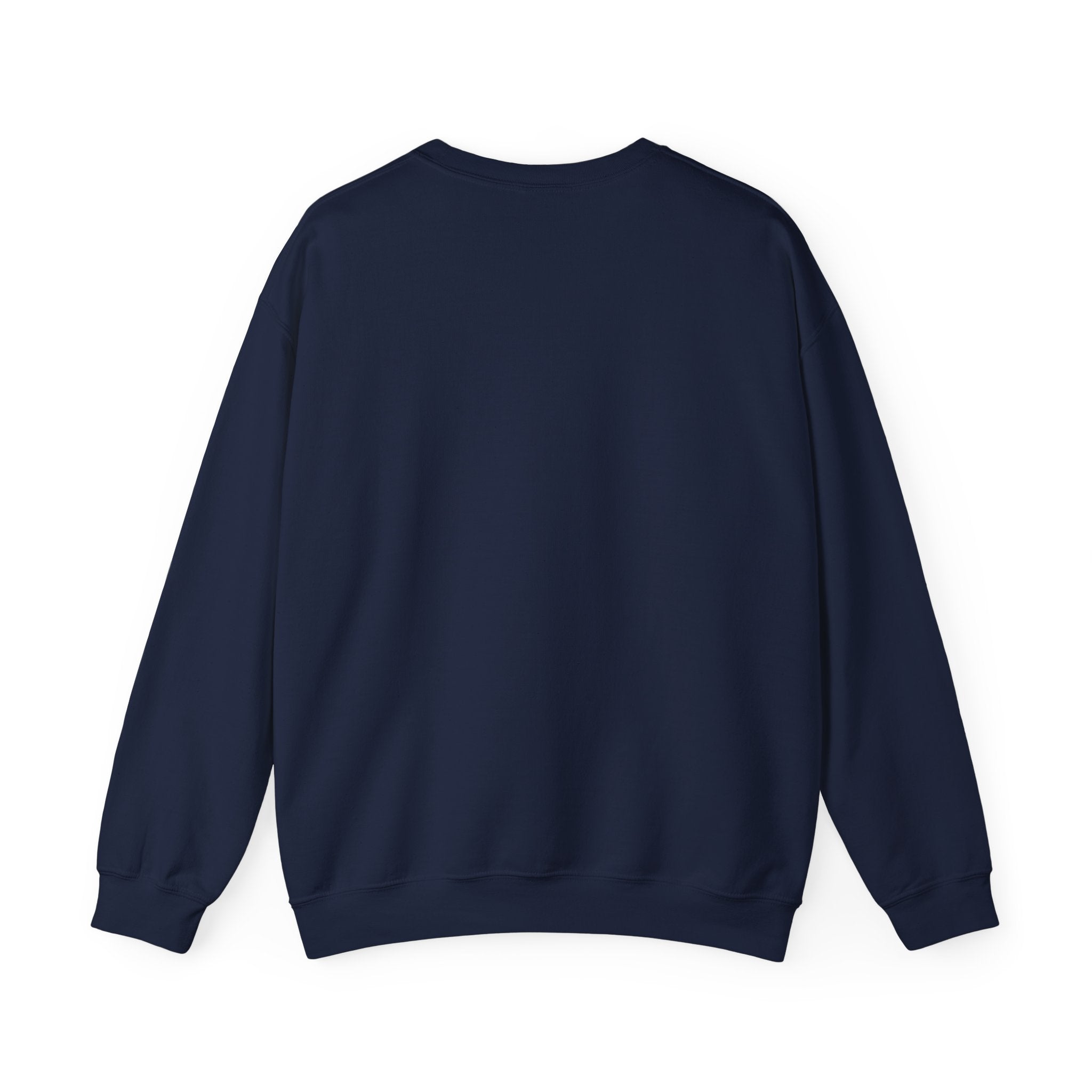 Orbital Mechanics Club Crewneck Sweatshirt – Space Mission Patch Pullover | Astronomy & Science Graphic | STEM Apparel