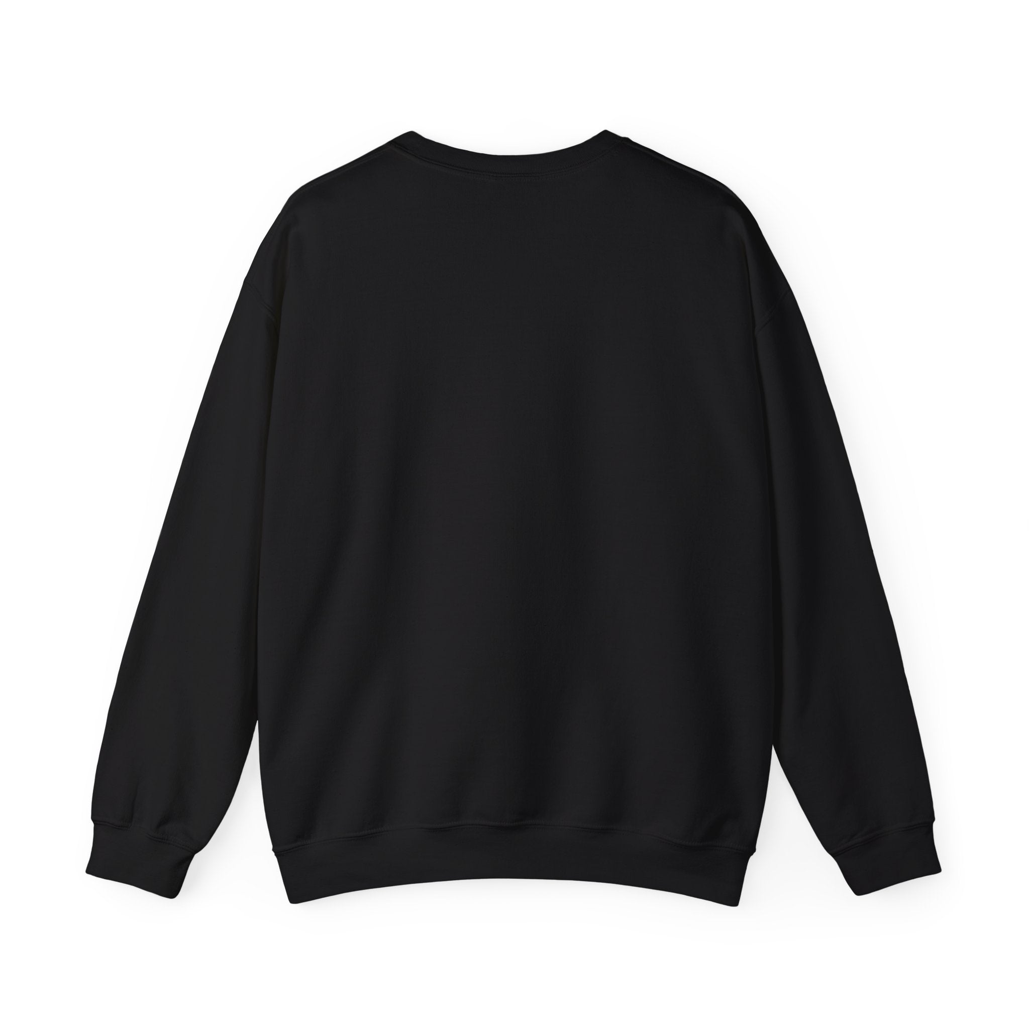 Orbital Mechanics Club Crewneck Sweatshirt – Space Mission Patch Pullover | Astronomy & Science Graphic | STEM Apparel